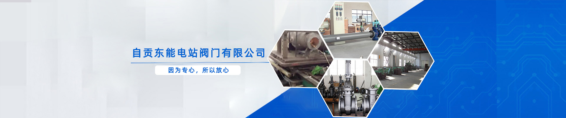 自贡电站阀门
